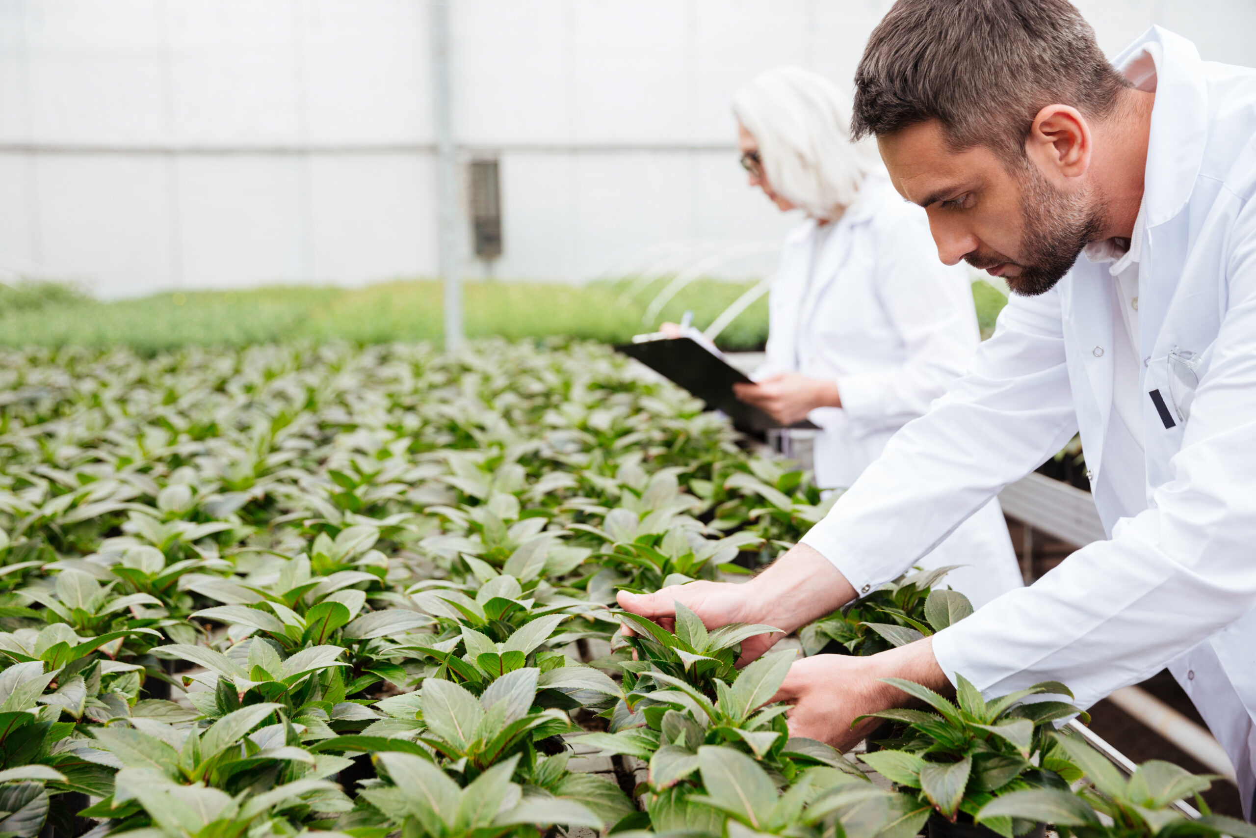 From Farm to Formula