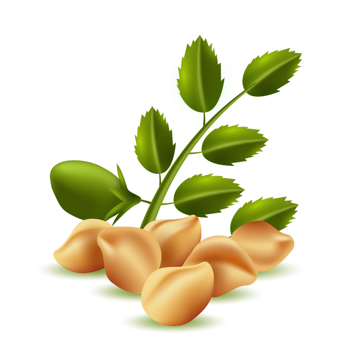 Seeds Icon